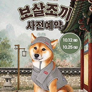 BYC 개리야스 보살조끼 사전예약 일정 가격 라인업 사은품 혜택