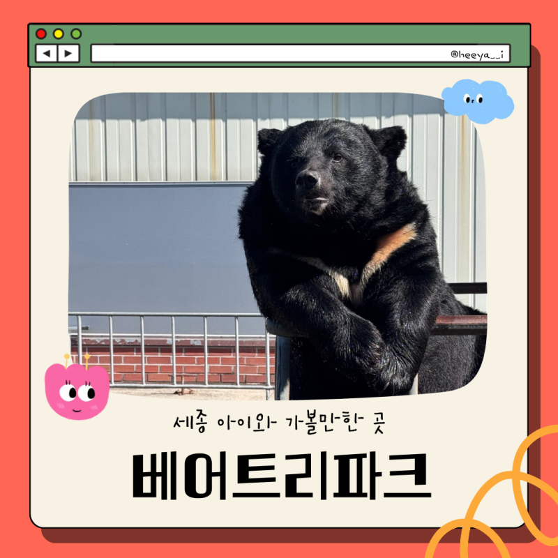 세종 아이와 가볼만한 곳 | 베어트리파크 | 곰 먹이주기까지 아이들과 다녀온 후기