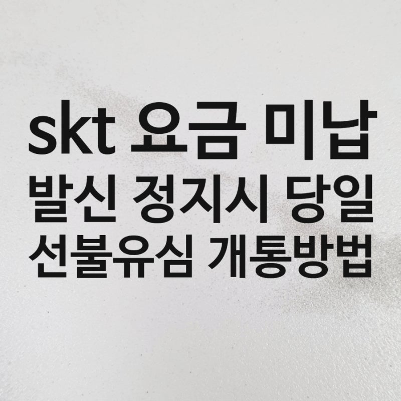 SKT 요금 미납으로 발신 정지 되었을 때 당일 선불유심 개통하는 방법