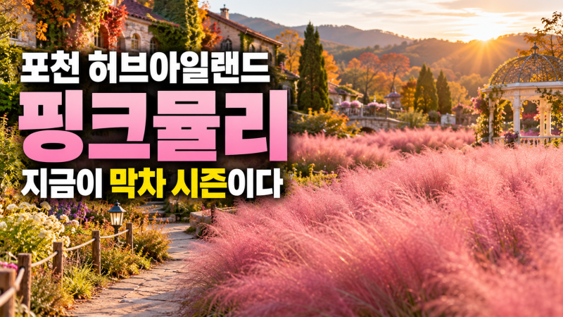 포천 허브아일랜드 핑크뮬리, 지금이 막차 시즌이다