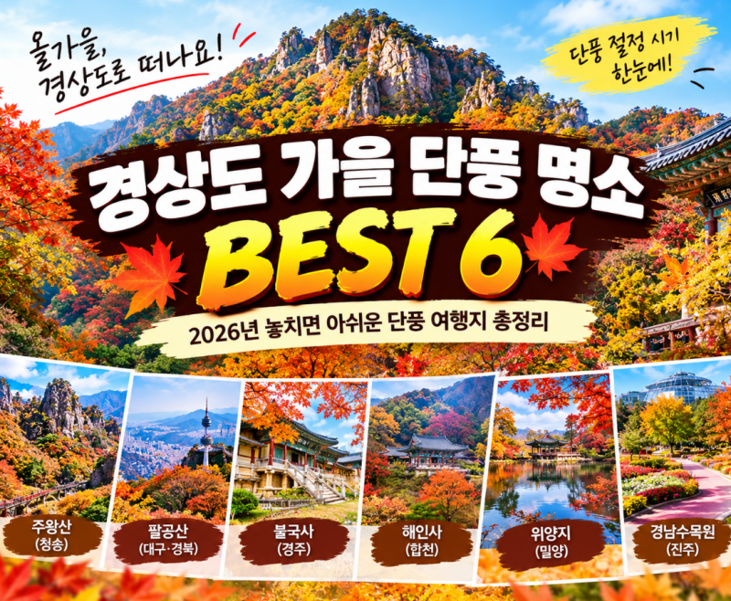 경상도 가을 단풍 명소 BEST 6, 2026년 놓치면 아쉬운 단풍 여행지 총정리