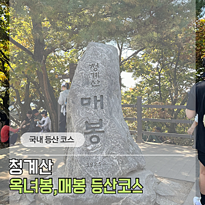 청계산 옥녀봉 매봉 3시간 30분 후기 | 등산코스 준비물 총정리