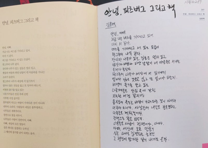 시필사 289 안녕 피츠버그 그리고 책 김용택