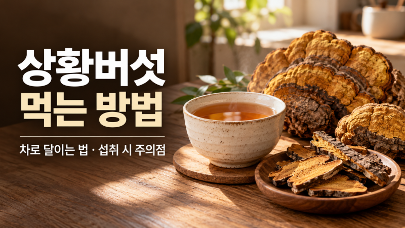 상황버섯 효능과 먹는 방법｜차로 달이는 법과 제품 고를 때 확인할 점