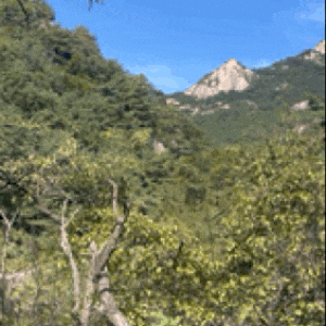 북한산 우이령길 예약 코스 주차  소요시간 지도