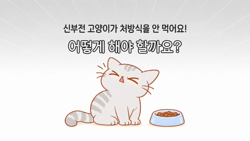 신부전 고양이가 처방식을 안 먹어요! 어떻게 해야 할까요?