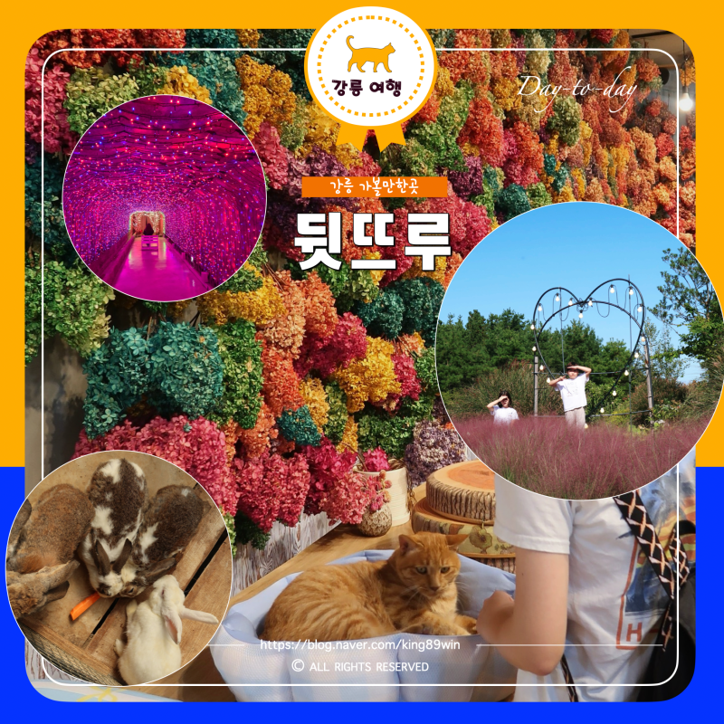 강릉 뒷뜨루 관광농원