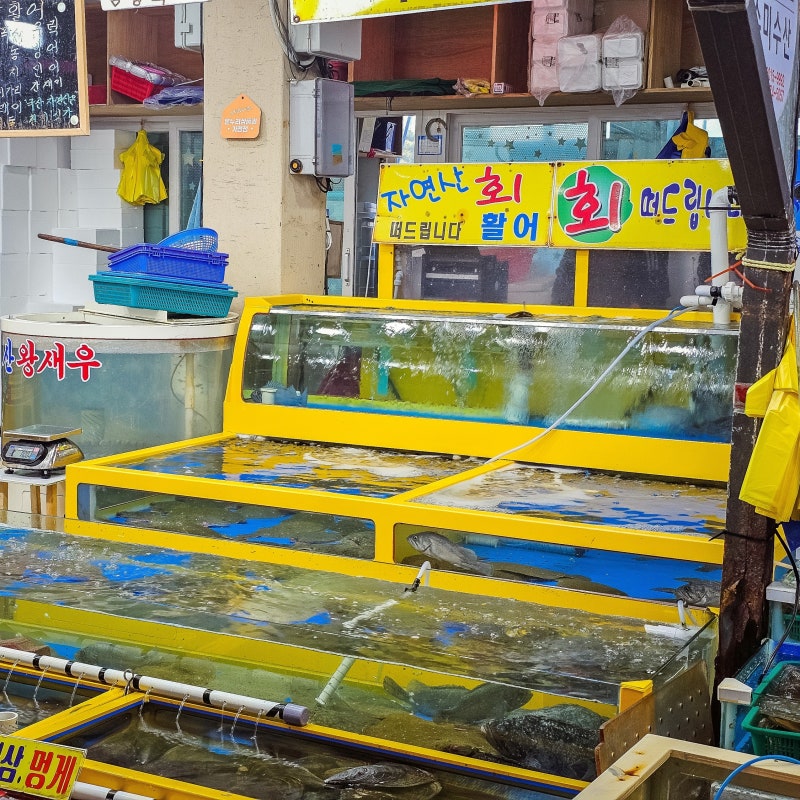 태안 가을 전어 맛집 여행, 제철 전어 구입하기 좋은 수산시장 4곳
