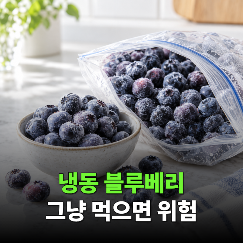 "냉동 블루베리 봉지 뜯고 바로 먹었다면?" 놓치기 쉬운 식중독 위험