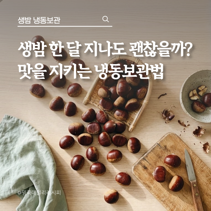 40대 주부의 생밤 냉동보관, 1개월 지나도 맛 지키는 법