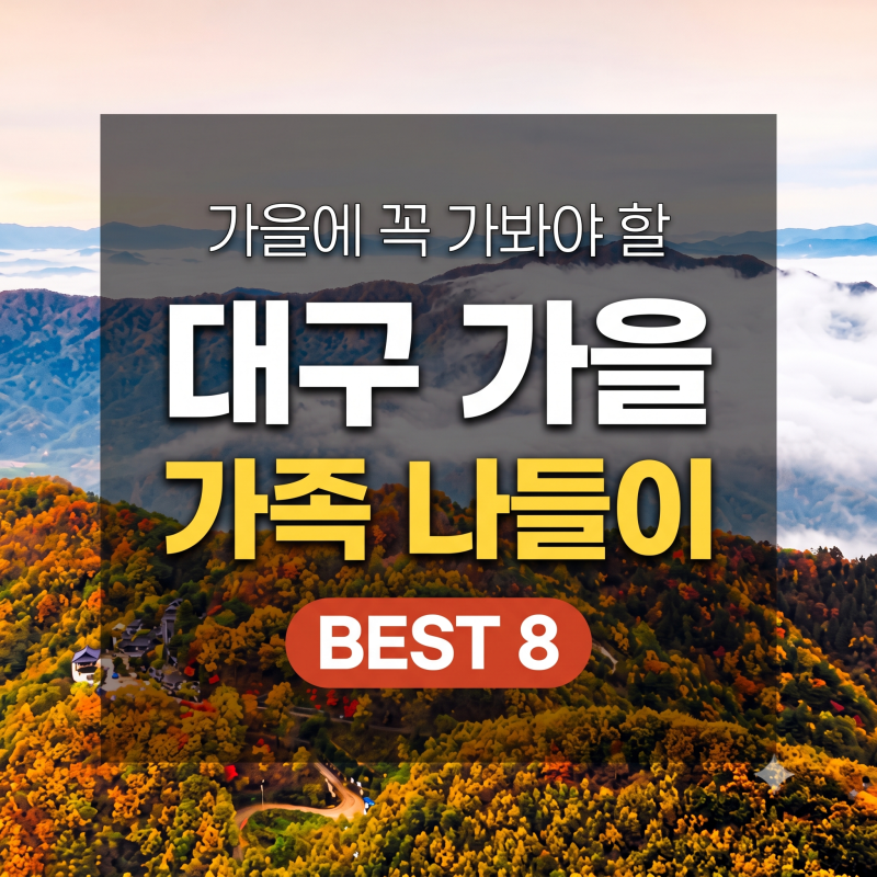 대구 가을 가족 나들이 BEST 8 아이랑 가기 좋은 핑크뮬리 군위 마운틴 뷰카페