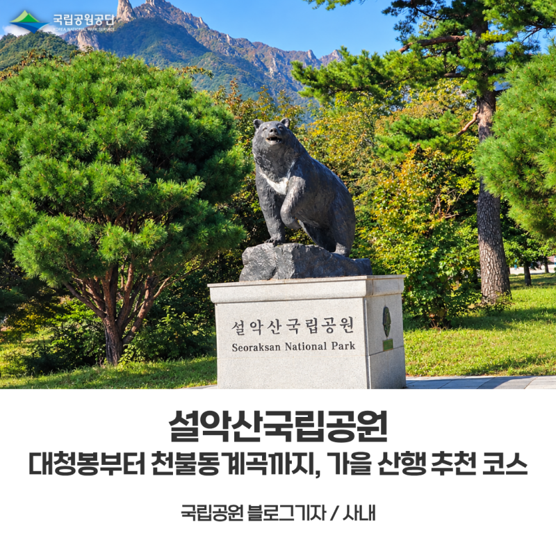 [설악산국립공원] 대청봉과 천불동계곡 까지, 가을 산행 추천 코스
