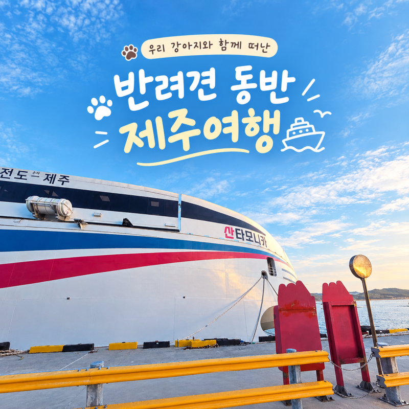 진도 제주 배편 산타모니카 반려견 동반 후기 (총정리 및 꿀팁)