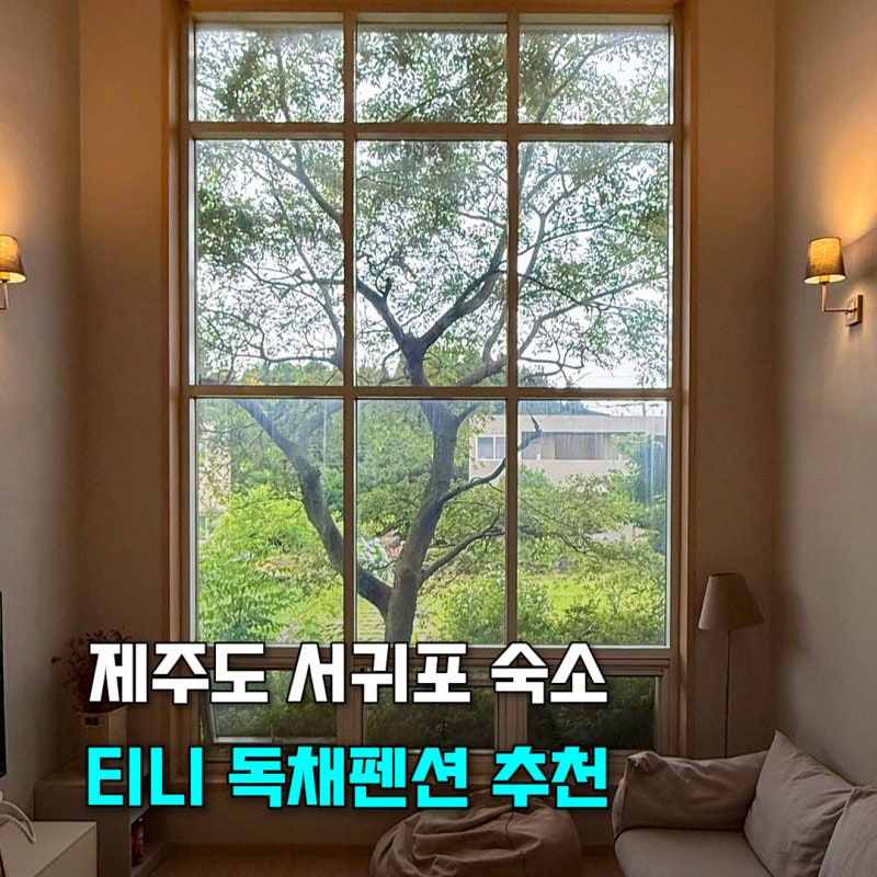 제주도 서귀포 숙소 추천 조용한 4인용 독채 펜션 티니 내돈내산 후기