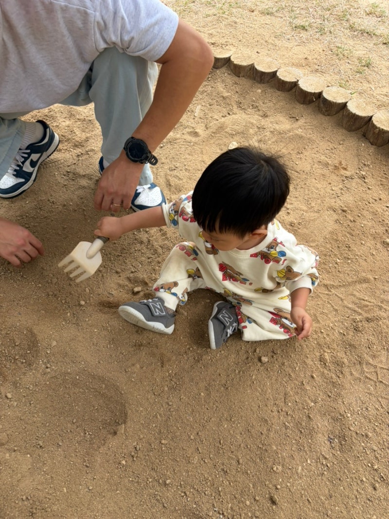 대구 숲놀이터 추천, 수성 대흥동 유아숲체험원 주차, 무료프로그램 완벽정리!