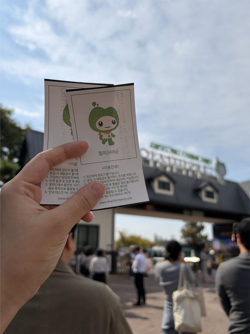 안성팜랜드 17개월 아기랑 체험목장, 핑크뮬리, 코스모스 후기(+온라인 예매)