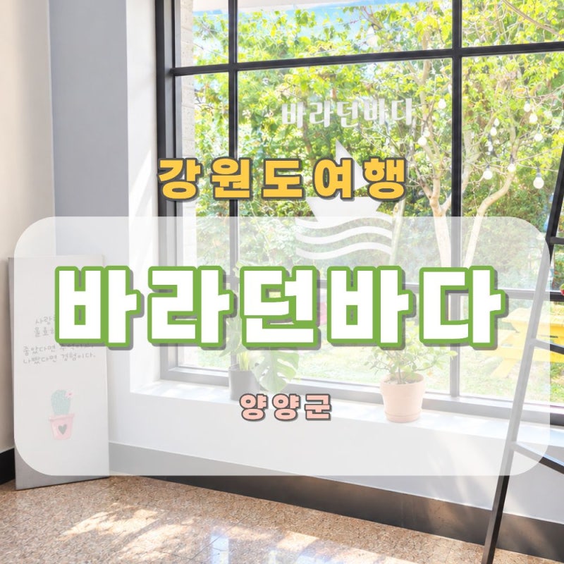 양양 오션뷰 숙소, 바라던바다 펜션 후기