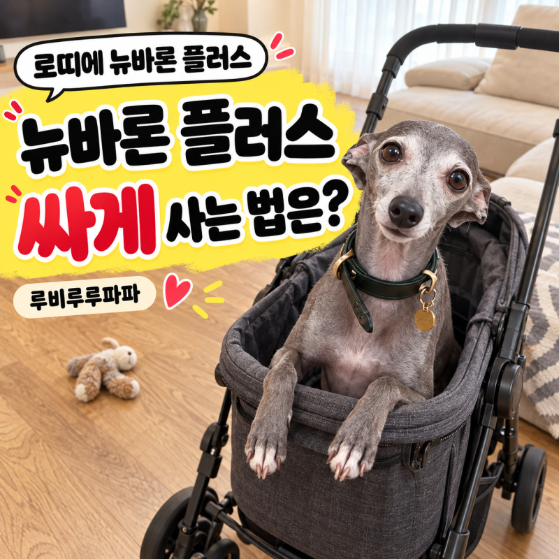 로띠에 뉴바론 플러스 강아지유모차 싸게 사는 법 | 커버 별도 체크
