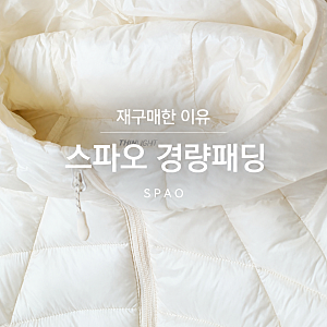 스파오 씬라이트 여성 후드 경량패딩 후기, 하나 있으면 든든한 겨울 기본템