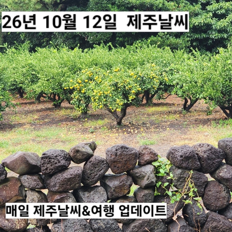 10월 12일 제주도 날씨 서귀포 실시간 옷차림 비 오는 날 실내 여행 추천 한라산 예보