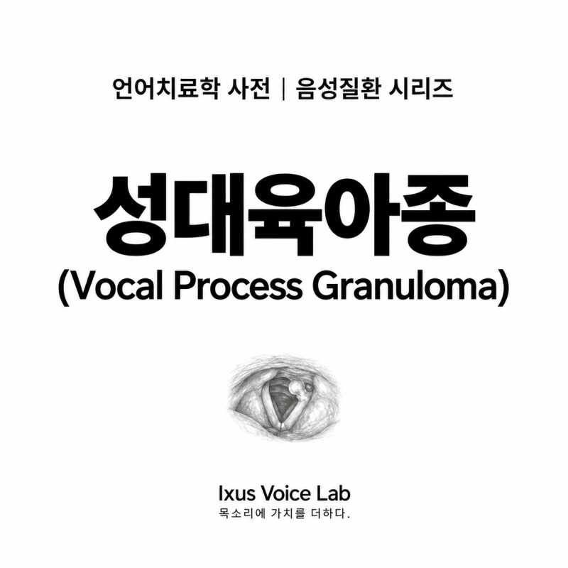성대육아종(Vocal Process Granuloma) | 피열연골 성대돌기 부위에 발생하는 양성 염증성 병변