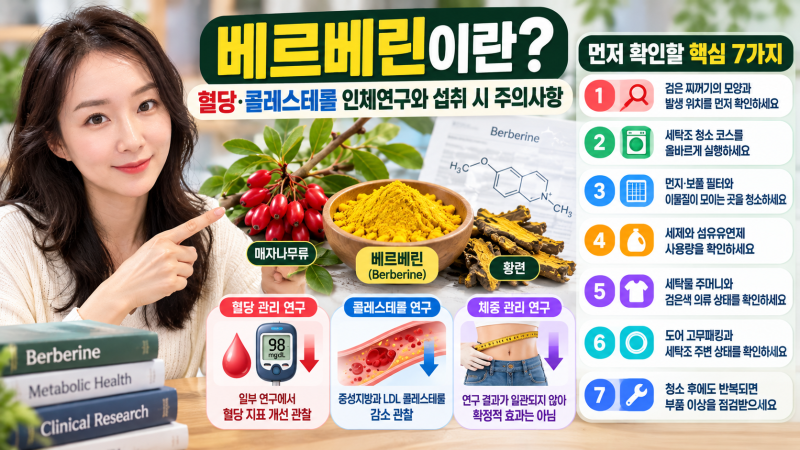 베르베린이란?｜혈당·콜레스테롤 인체연구와 섭취 시 주의사항