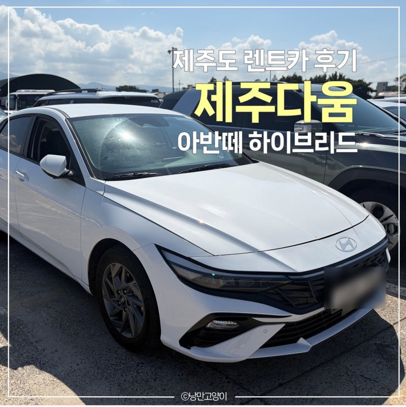 제주도렌트카 "제주다움" 카모아 예약 | 아반떼 하이브리드 블랙박스 내돈내산 후기
