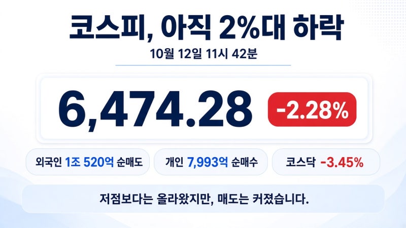주식시장 긴급점검코스피 2~3%대 급락! 삼성전자·SK하이닉스 하락 이유와 AI 거품론의 진실 (20....