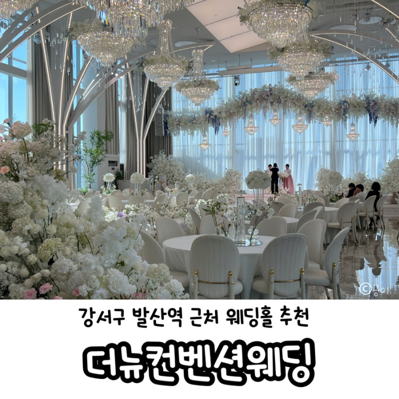 강서구웨딩홀 추천ㅣ더뉴컨벤션 르노브 더뉴 제니스홀 시식 후기