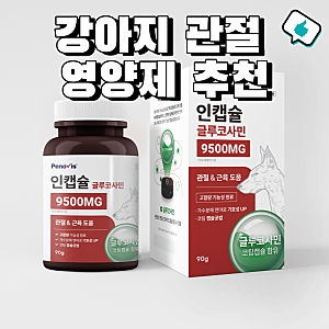 강아지 관절 영양제 추천, 입맛 까다로운 반려견을 위한 페노비스 선택 기준 후기