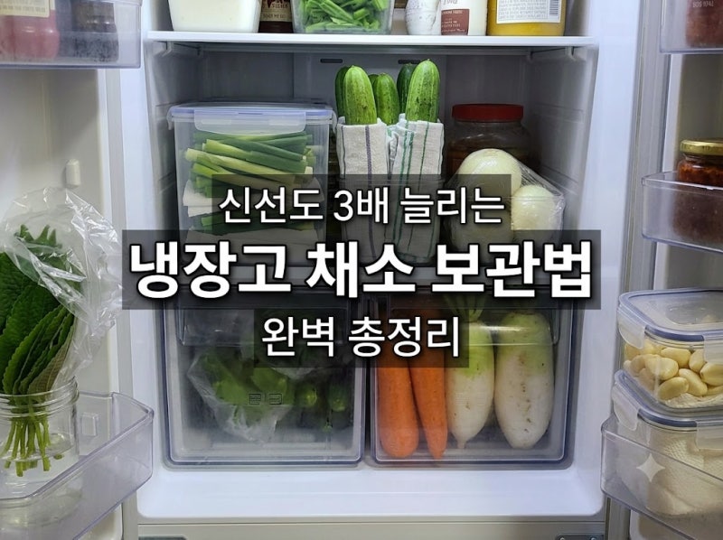 [살림 꿀팁] 냉장고 채소별 보관법 총정리: 신선도 3배 늘리고 식비 절약하는 야채 보관 공식