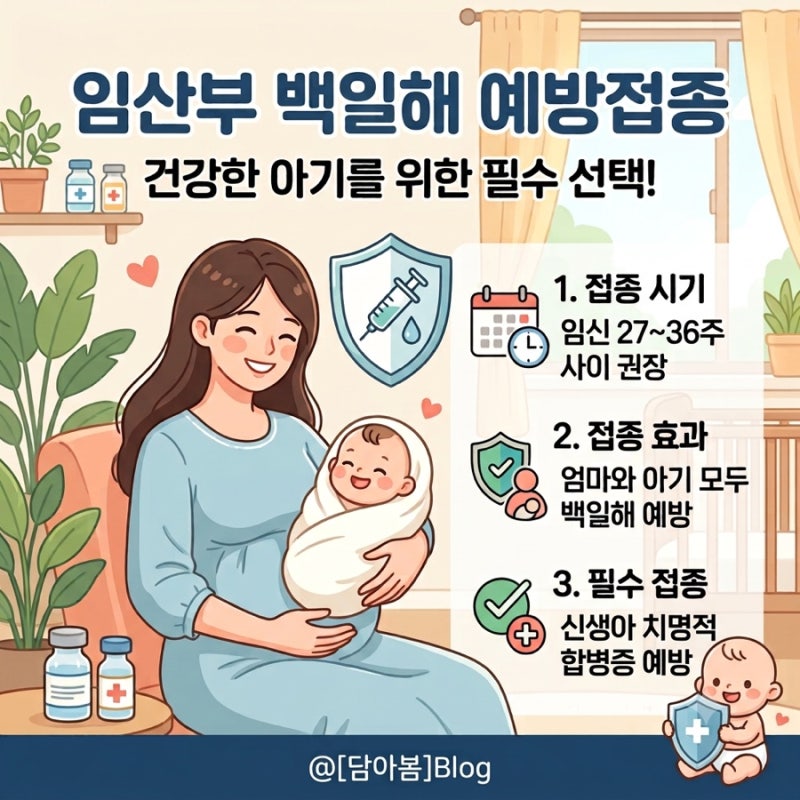 임산부 백일해 주사 시기 언제? 남편 및 가족 접종까지 완벽 정리