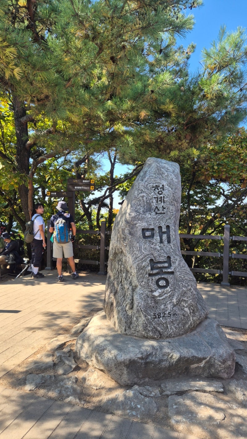 청계산 매봉 등산코스 후기⛰️｜원터골 코스 난이도, 왕복 소요시간, 정상 뷰까지
