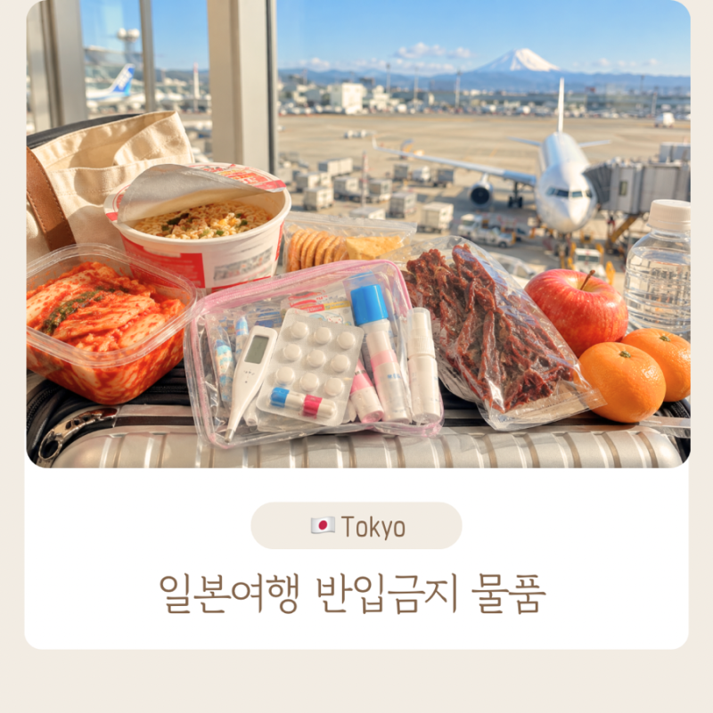 2026 일본 여행 반입금지 물품 총정리｜약·음식·육류·김치·라면 세관 규정