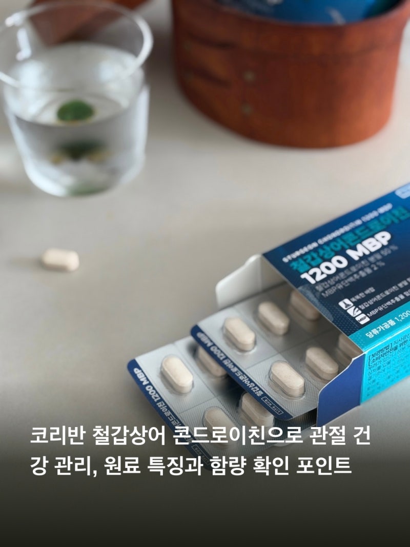 코리반 철갑상어 콘드로이친으로 관절 건강 관리, 원료 특징과 함량 확인 포인트