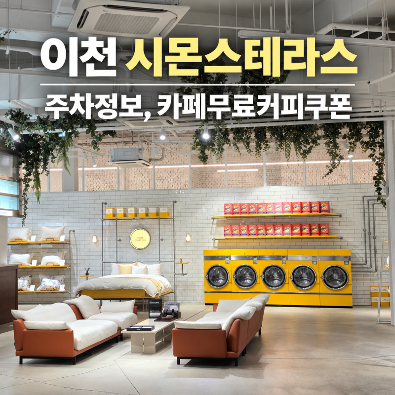이천 시몬스 테라스 카페 후기｜핫도그 메뉴·무료 커피 쿠폰.주차정보