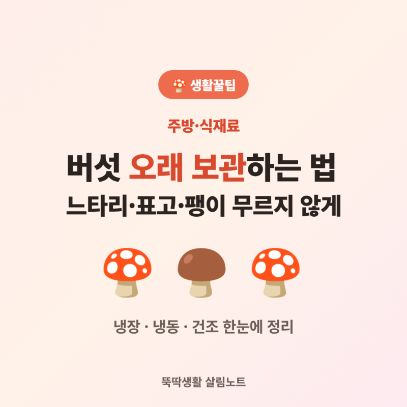 버섯 오래 보관하는 법 총정리 (느타리·표고·팽이 무르지 않게, 냉장·냉동)