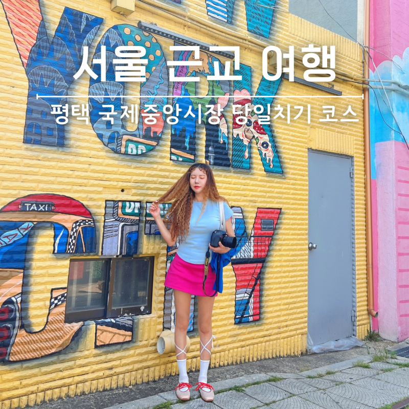 서울 근교 여행 평택국제중앙시장 주말 당일치기 코스