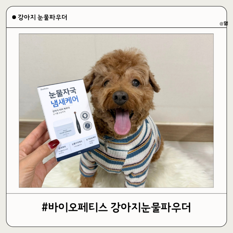 [바이오페티스 강아지 눈물 파우더] 강아지눈물자국관리, 강아지눈물파우더 추천