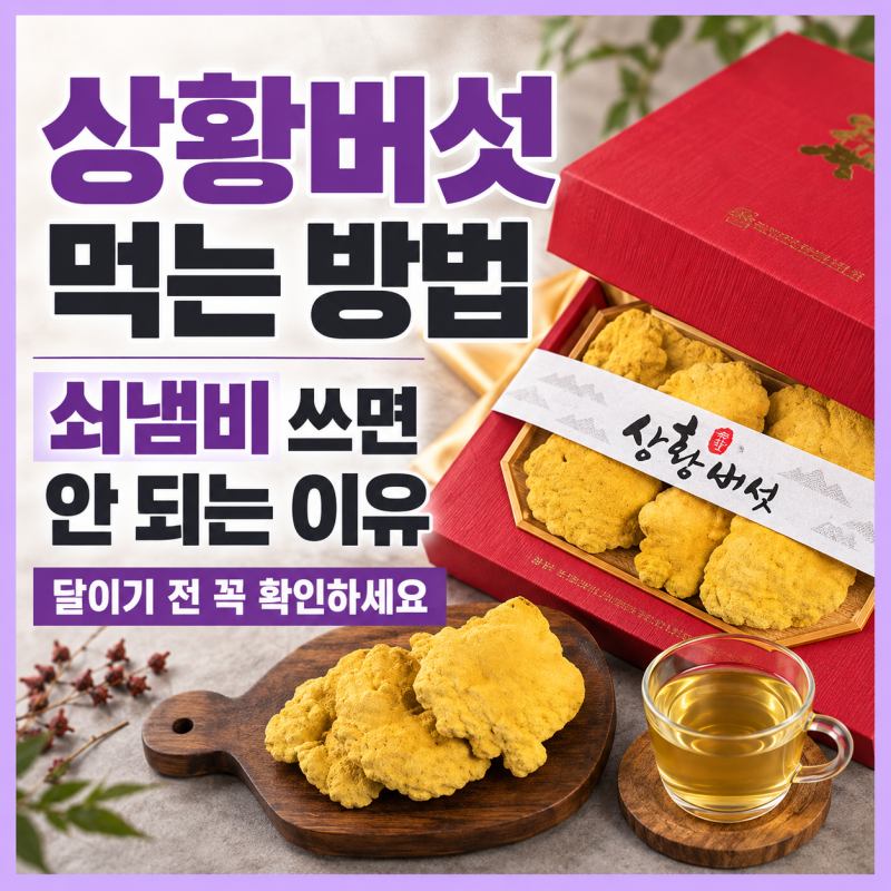 상황버섯먹는방법 쇠냄비 쓰면 안 되는 이유와 달이기