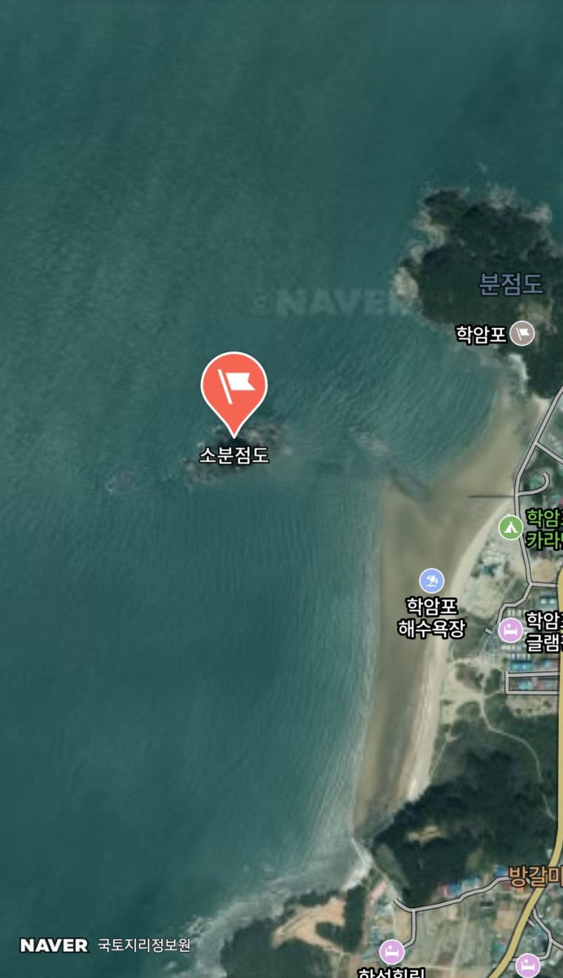 태안 학암포 해루질 후기 2편｜소분점도에서 박하지 잡기, 돌 밑에 숨은 갯벌 생물들
