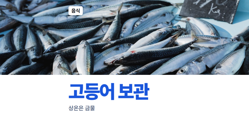 고등어 보관, 상온에 두면 안 되는 이유 히스타민과 레시피 손질 순서