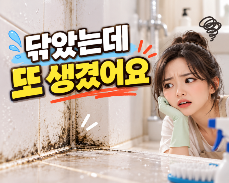 욕실 실리콘 곰팡이 제거했는데 또? 청소보다 중요한건 이것