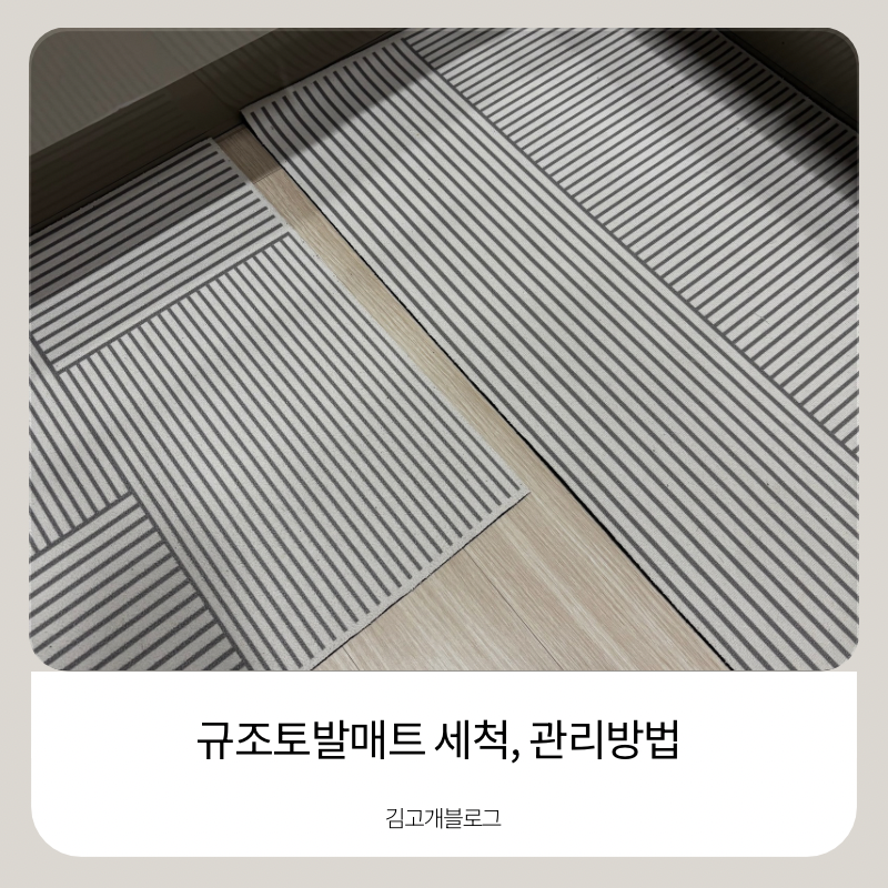 규조토발매트 세척 어떻게 할까? 빨아 쓰는 제품 관리법과 버리는 법