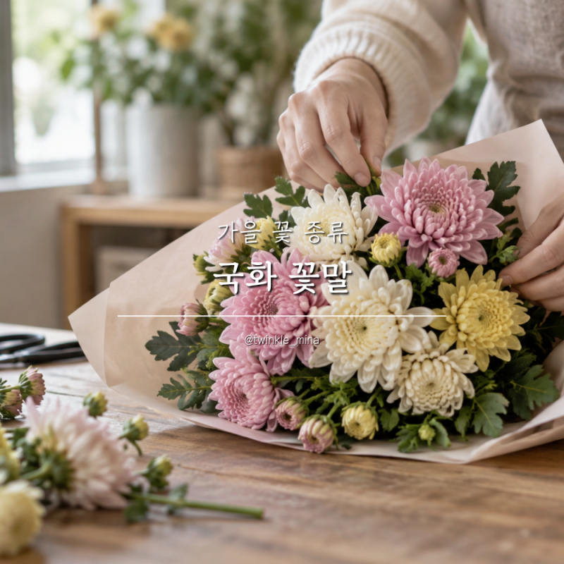 국화 꽃말 색깔별 의미와 종류, 가을 꽃 고르기