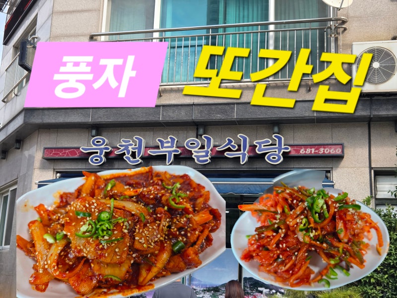 여수 웅천 현지인 맛집 부일식당 | 풍자 또간집에 나온 제육볶음 & 서대회 무침 후기