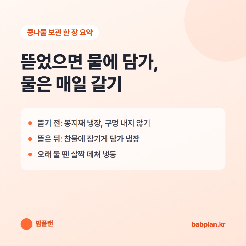 콩나물 보관법, 물에 담가 냉장하면 더 아삭한 이유 (남은 콩나물 냉동까지)