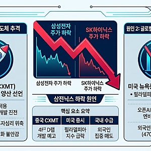 삼성전자·SK하이닉스 주가 급락 원인? 중국 반도체 추격과 글로벌 시장 악재 분석~