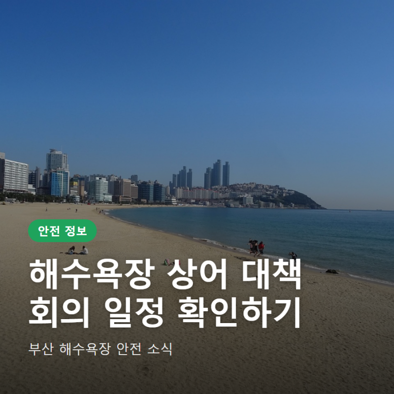 해수욕장 상어 대책 회의 일정과 장비 점검 내용 정리