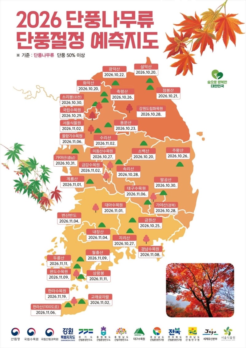 속초 가볼만한곳 10월 설악산 단풍 절정 여행 코스